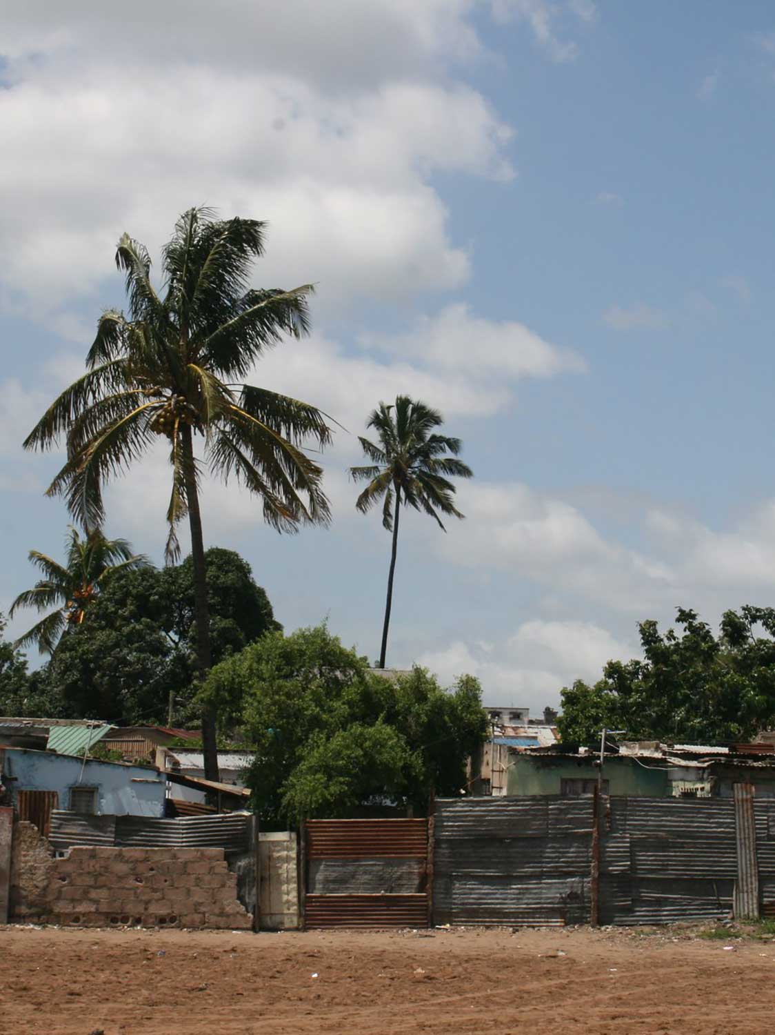 MDfD1_workshop-in-maputo-9